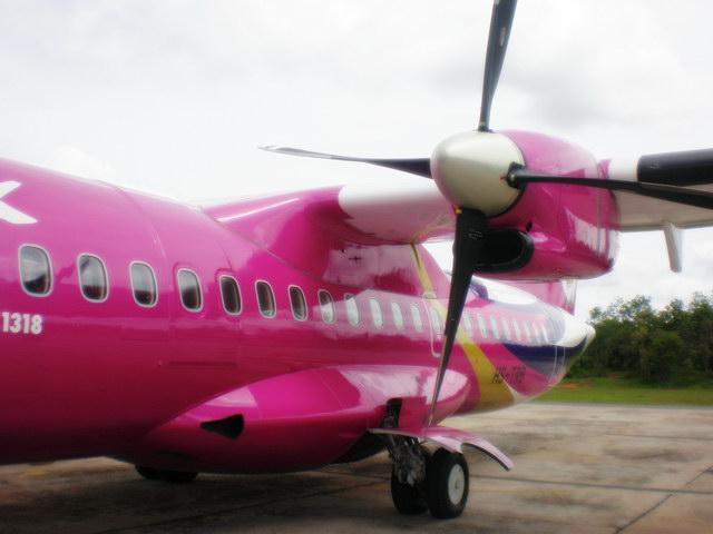 P7230143_resize.JPG